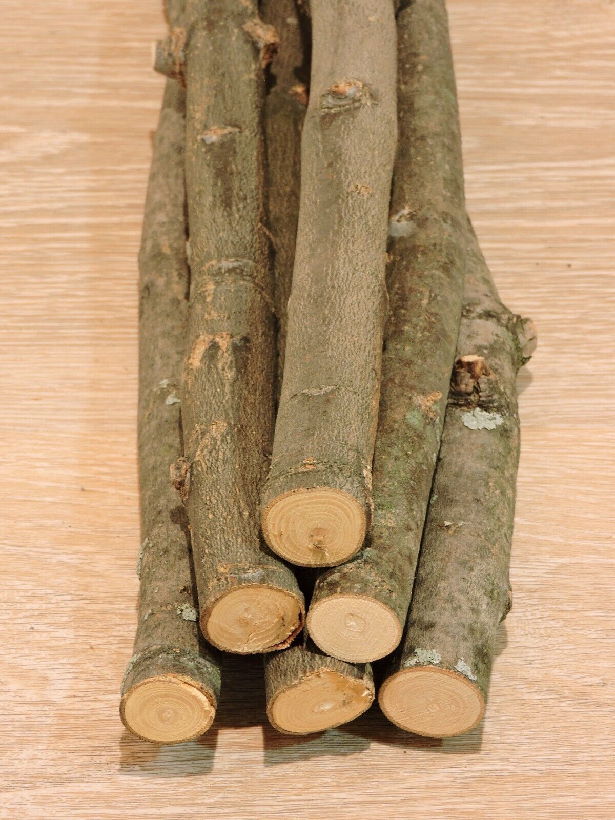 6 Ash Wood Stick Natural Wood Carving Wand Craft Supplies 3/4~7/8"d 15~18"l